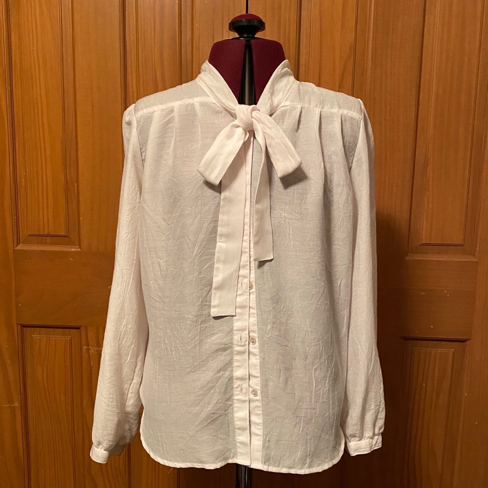 Semi Sheer Self-Tie Blouse